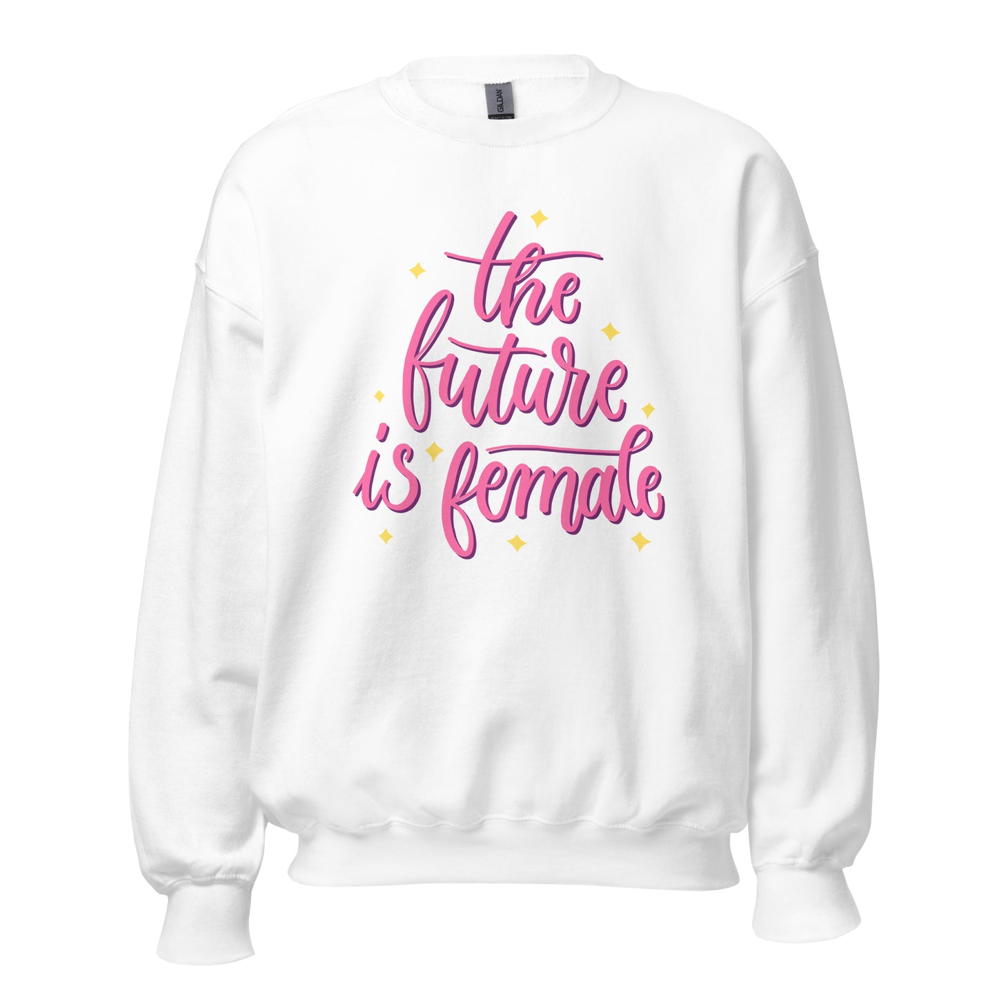 Damen Pullover the future is female